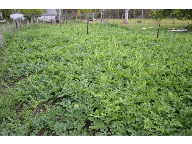 335 Blackmans Point Road, Blackmans Point NSW 2444