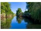 113 Koree Island Road, Beechwood NSW 2446