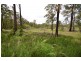 137 Old King Creek Road, King Creek NSW 2446