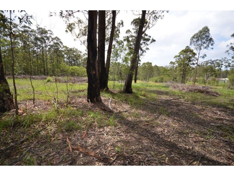 137 Old King Creek Road, King Creek NSW 2446