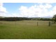 719 Ballengarra Bransdon Road, Gum Scrub NSW 2441