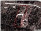 39 Yallaroi Road, Wauchope NSW 2446