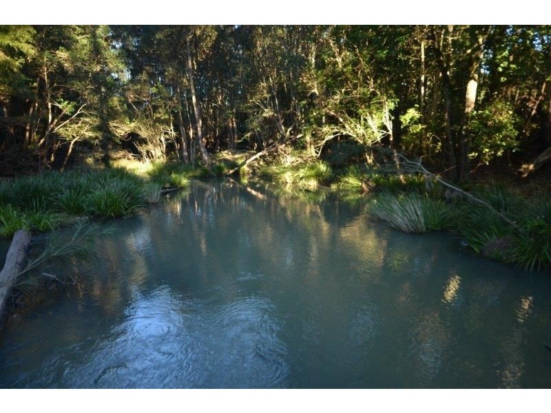 133 Letterbox Road, Bellangry NSW 2446