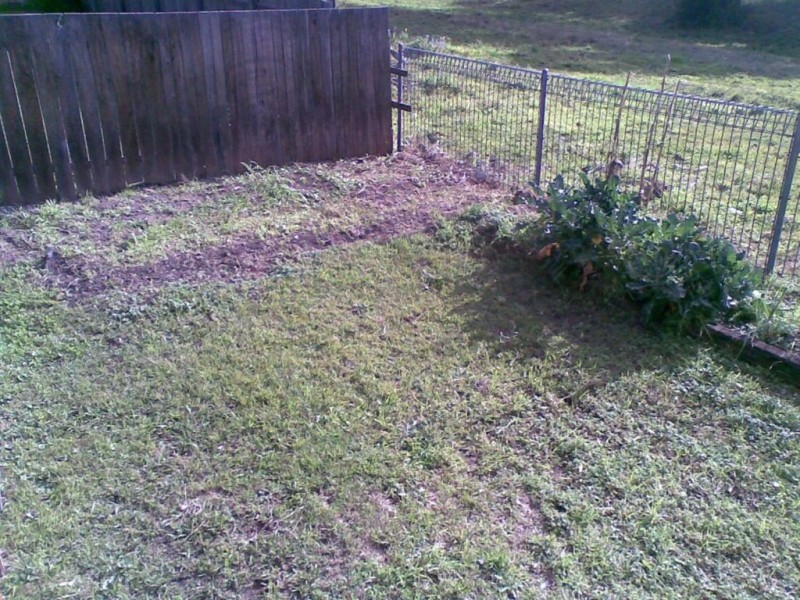 804 Beechwood Rd, Beechwood NSW 2446