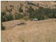 886 Kindee Road, Kindee NSW 2446