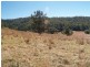 886 Kindee Road, Kindee NSW 2446