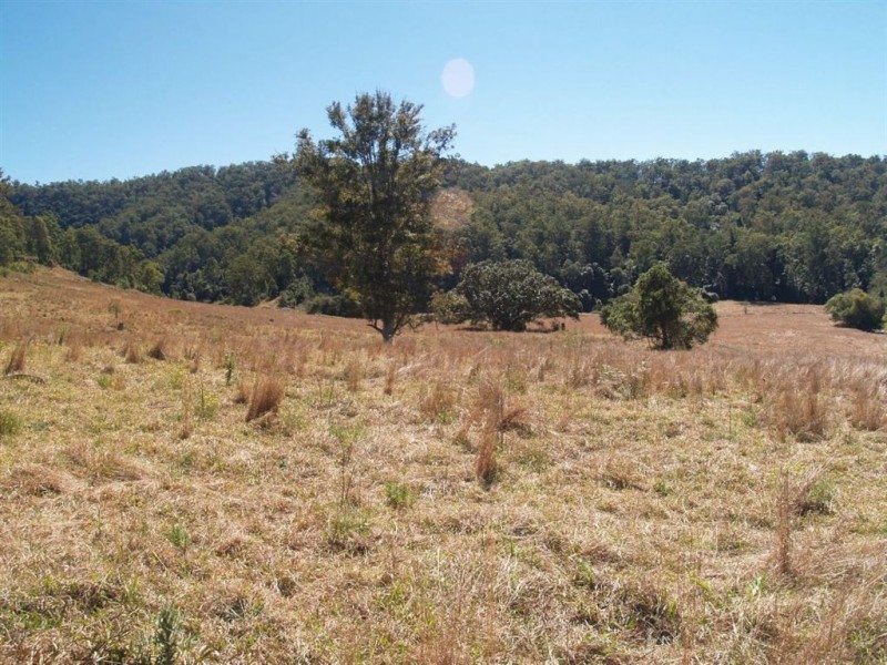 886 Kindee Road, Kindee NSW 2446