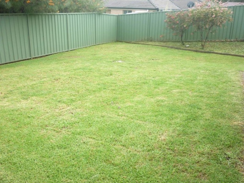 54 Pead St, Wauchope NSW 2446