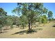 14 Coachwood Close, Beechwood NSW 2446