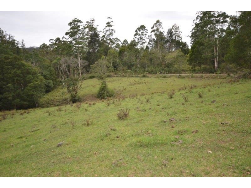 305 Left Arm Road, Upper Pappinbarra NSW 2446