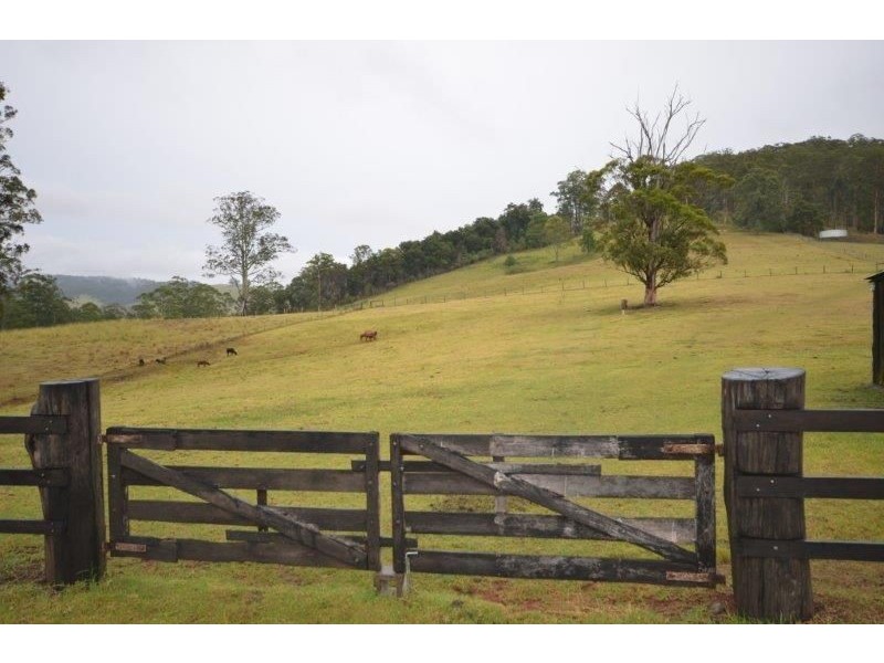 602 Littles Loop Road, Rollands Plains NSW 2441