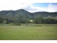 28 Ready Money Road, Rollands Plains NSW 2441