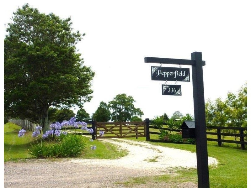 236 South West Rocks Road, Pola Creek NSW 2440