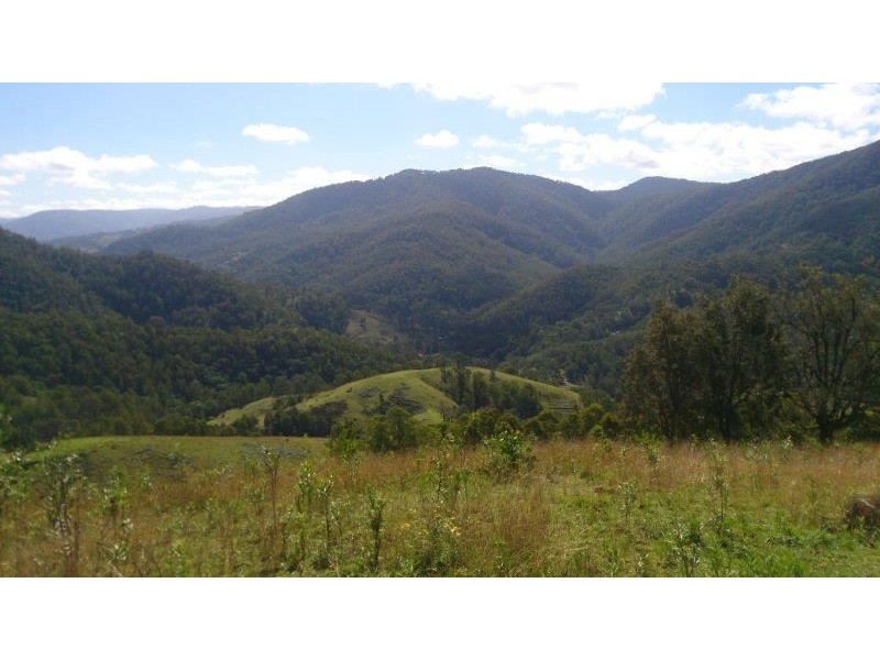 Lot 5-39 Cells River Road, Yarrowitch NSW 2354