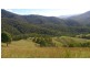 Lot 5-39 Cells River Road, Yarrowitch NSW 2354