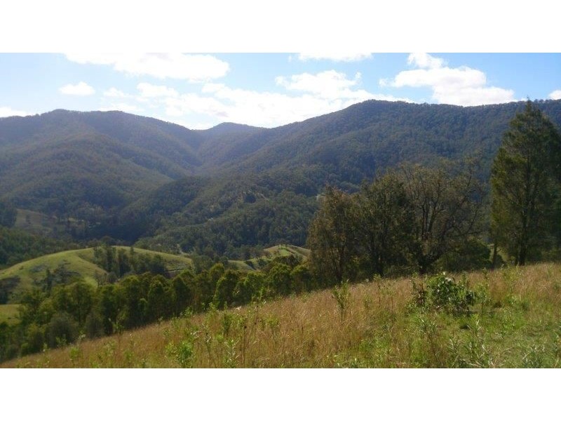 Lot 5-39 Cells River Road, Yarrowitch NSW 2354
