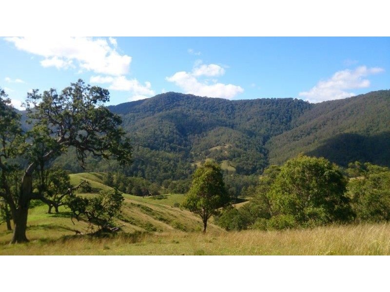 Lot 5-39 Cells River Road, Yarrowitch NSW 2354