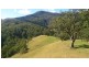 Lot 5-39 Cells River Road, Yarrowitch NSW 2354