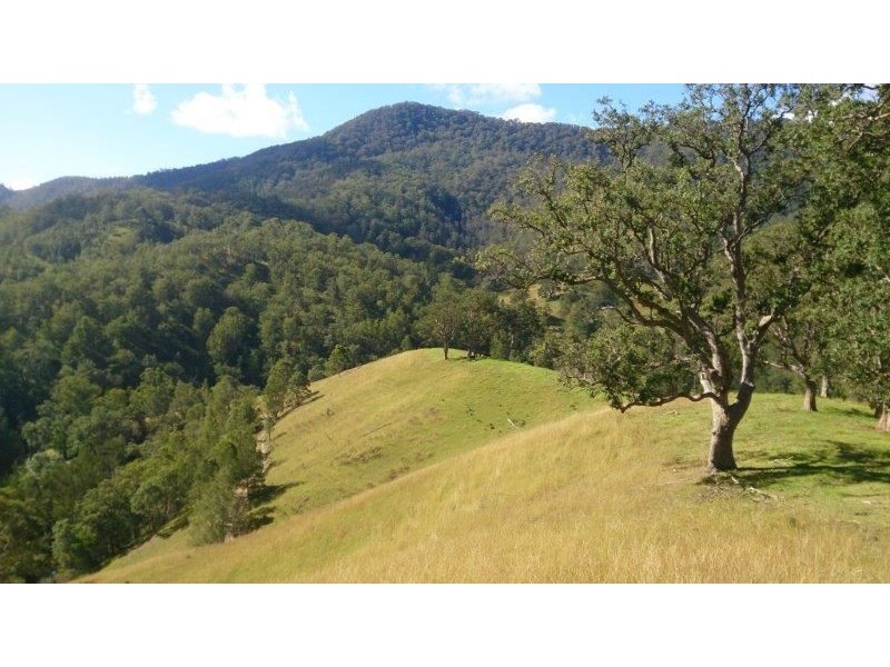 Lot 5-39 Cells River Road, Yarrowitch NSW 2354