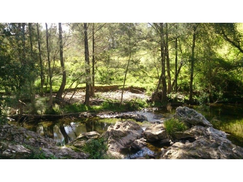 Lot 5-39 Cells River Road, Yarrowitch NSW 2354