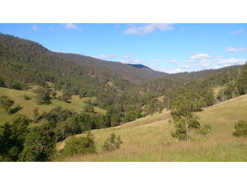 Lot 5-39 Cells River Road, Yarrowitch NSW 2354