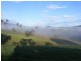 295 Eastern Boundary Road, Bellangry NSW 2446