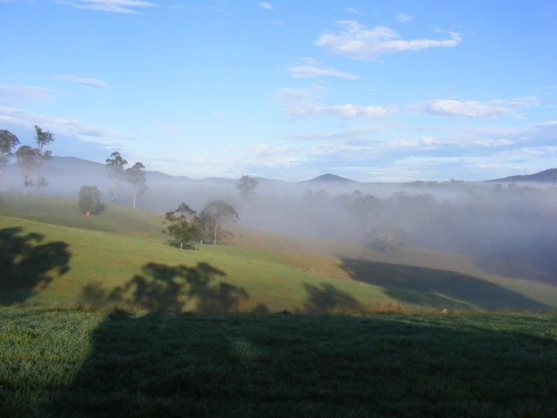 295 Eastern Boundary Road, Bellangry NSW 2446