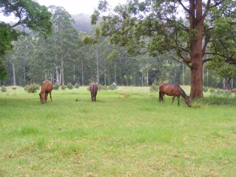 295 Eastern Boundary Road, Bellangry NSW 2446