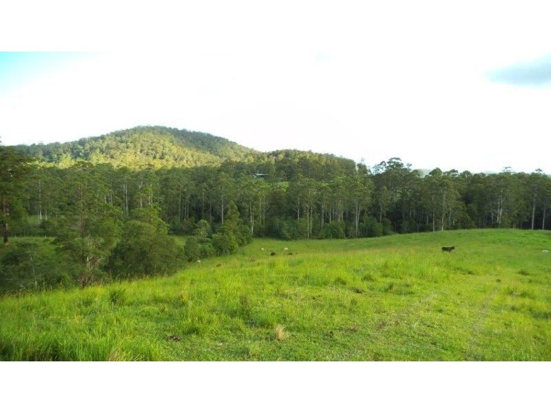 295 Eastern Boundary Road, Bellangry NSW 2446