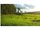 295 Eastern Boundary Road, Bellangry NSW 2446