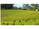 295 Eastern Boundary Road, Bellangry NSW 2446