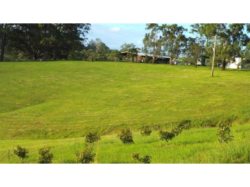 295 Eastern Boundary Road, Bellangry NSW 2446