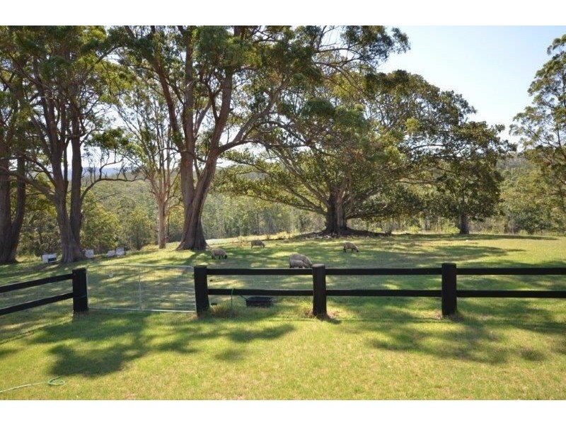 295 Eastern Boundary Road, Bellangry NSW 2446