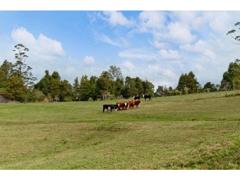 152 Playfords Road, Comboyne NSW 2429