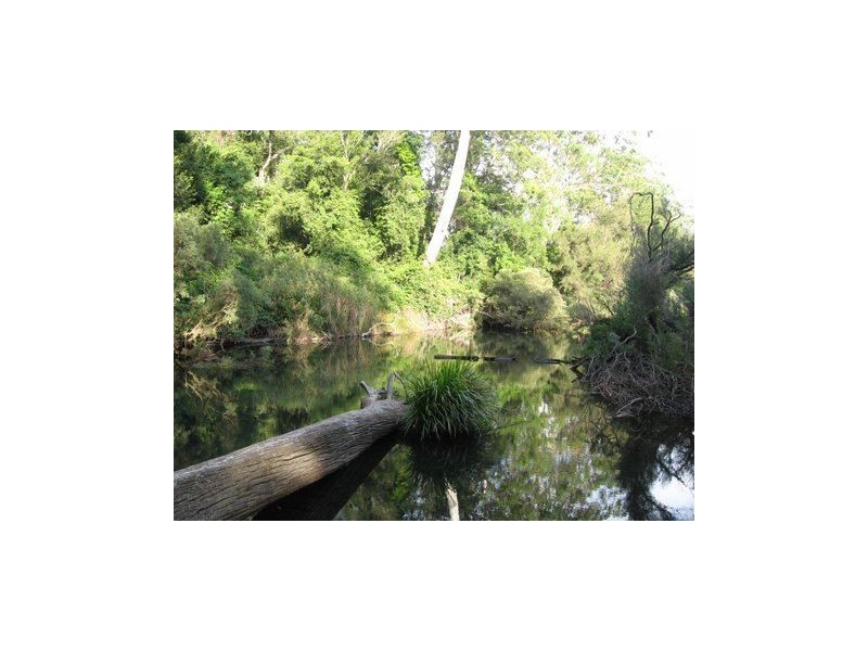 440 Upper Rollands Plains Road, Rollands Plains NSW 2441