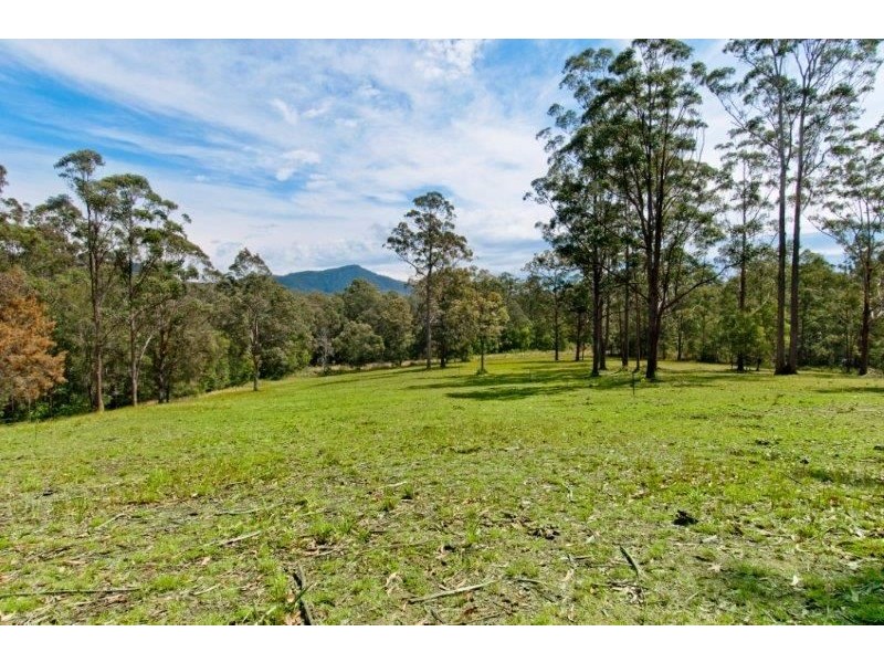 246 Old King Creek Road, King Creek NSW 2446