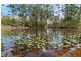 246 Old King Creek Road, King Creek NSW 2446