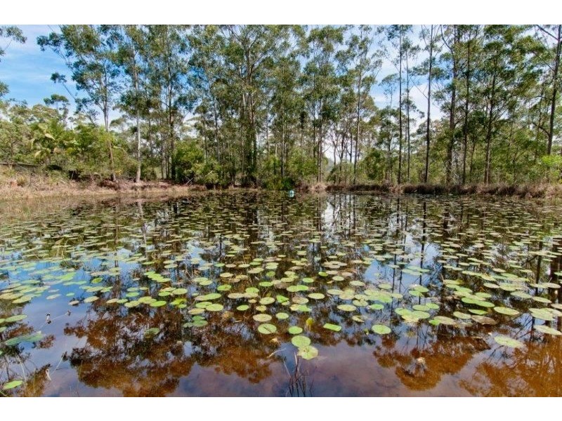 246 Old King Creek Road, King Creek NSW 2446