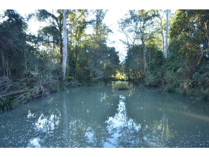 41 Fishers Ridge, Bellangry NSW 2446