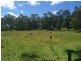 1119 Ocean Drive, Bonny Hills NSW 2445