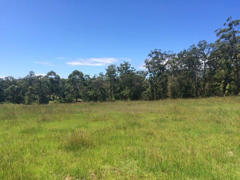1119 Ocean Drive, Bonny Hills NSW 2445