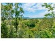 657 Beechwood Road, Beechwood NSW 2446