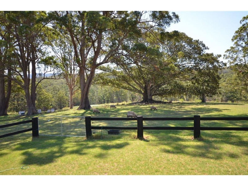 295 Eastern Boundary Road, Bellangry NSW 2446