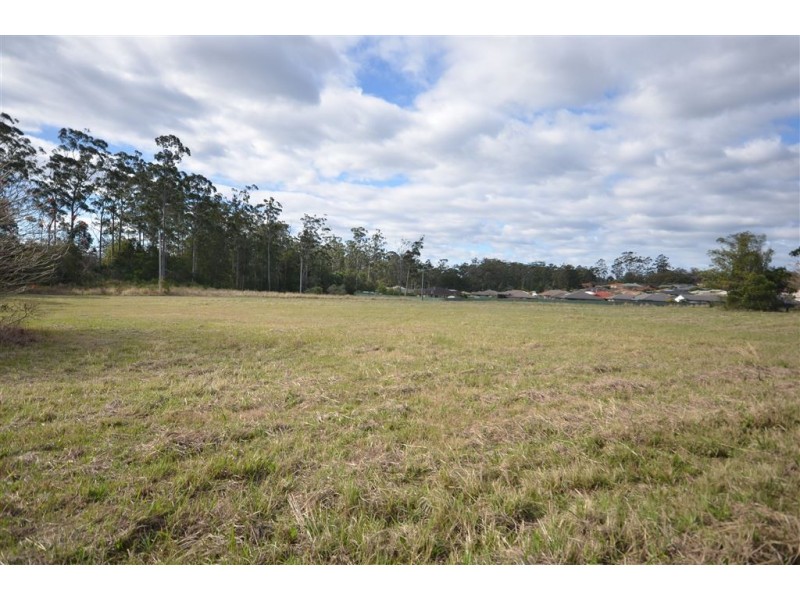 14 Pead Street, Wauchope NSW 2446