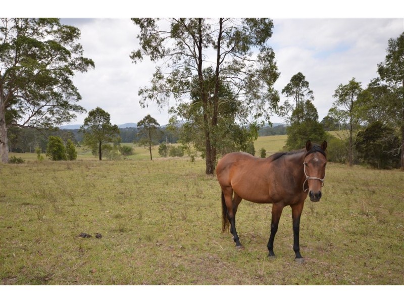 3 Neville Road, Beechwood NSW 2446