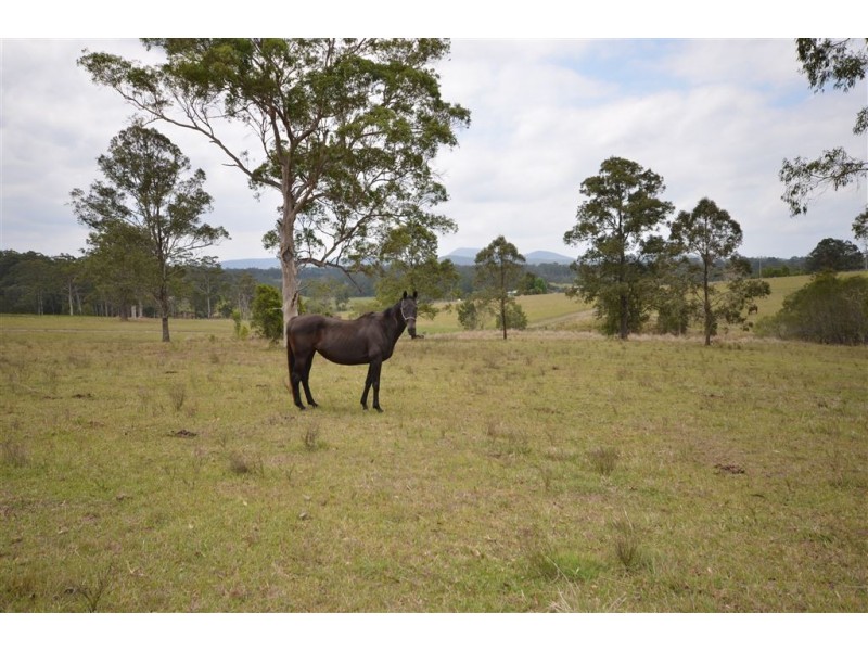 3 Neville Road, Beechwood NSW 2446