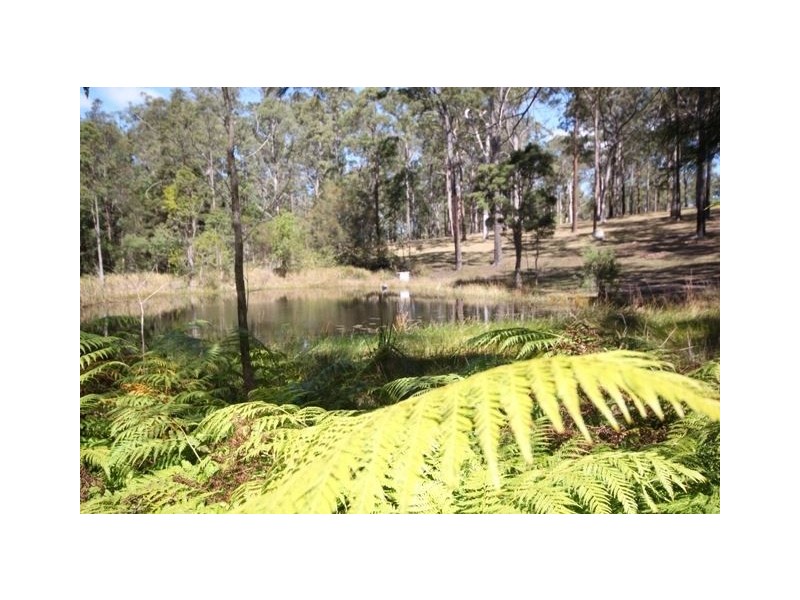 264 Crowther Drive, Kundabung NSW 2441