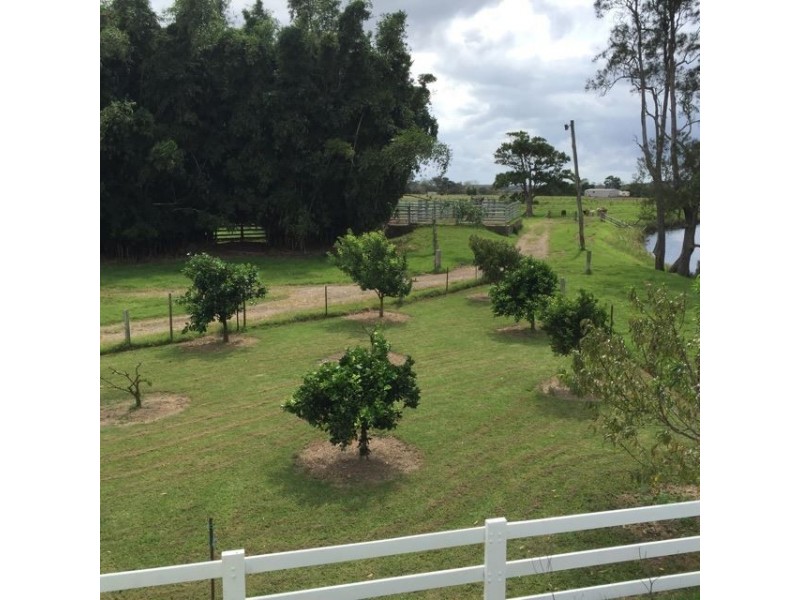 872 Kinchela Creek, Left Bank Rd,, Kinchela NSW 2440