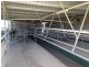1496 Pipeclay Road, Pipeclay NSW 2446