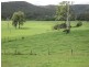 1496 Pipeclay Road, Pipeclay NSW 2446